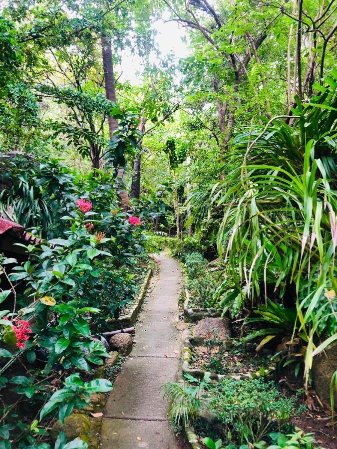 Hotel Bambu Huts Baan Tai Esterno foto