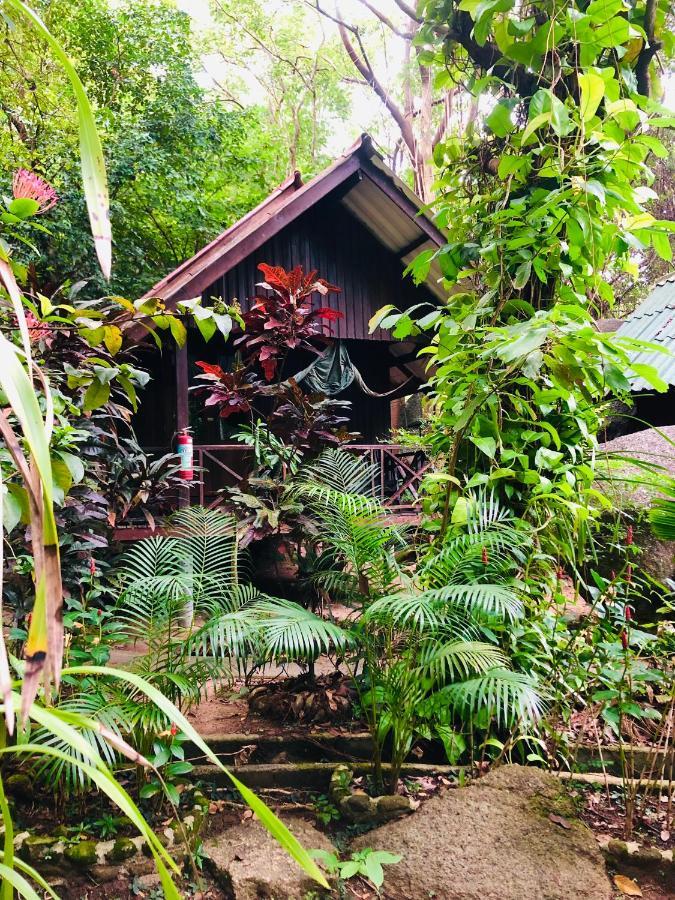 Hotel Bambu Huts Baan Tai Esterno foto