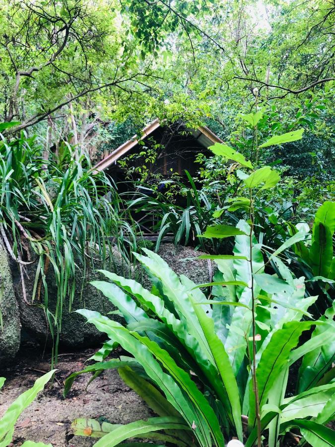 Hotel Bambu Huts Baan Tai Esterno foto